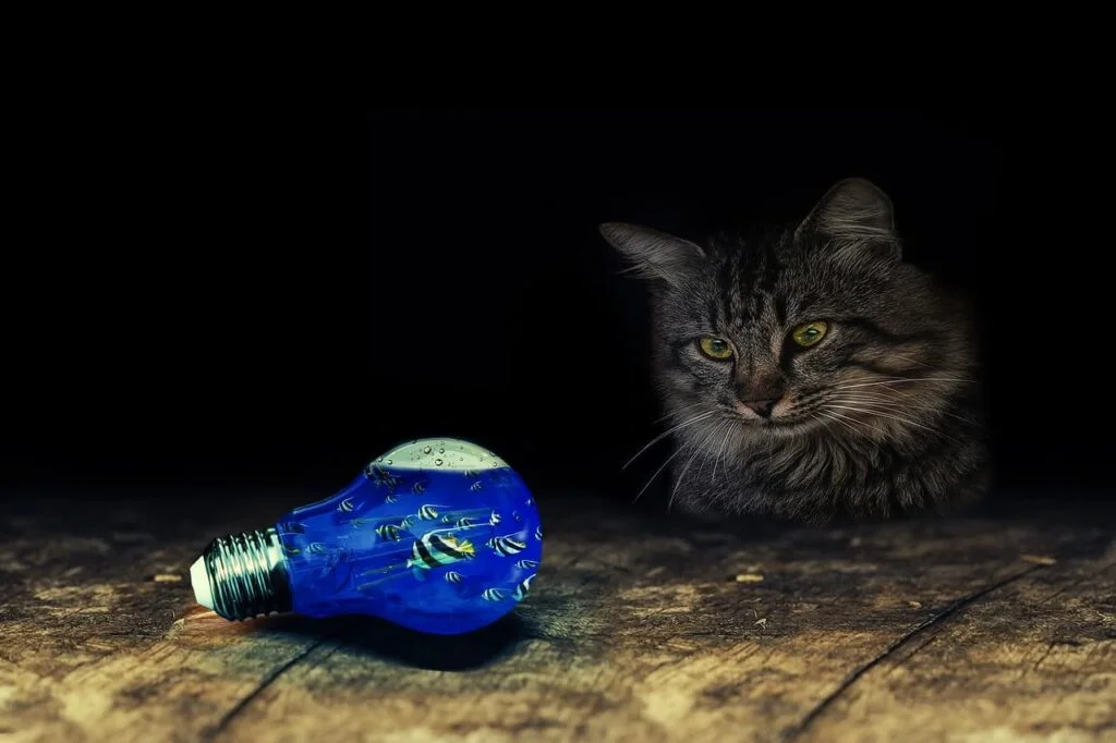 Why a Relentlessly Curious Culture Disrupts, Engages and Innovates