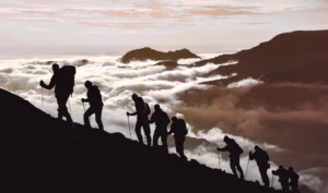 How Leadership Values Shape Culture - #WorkTrends Podcast